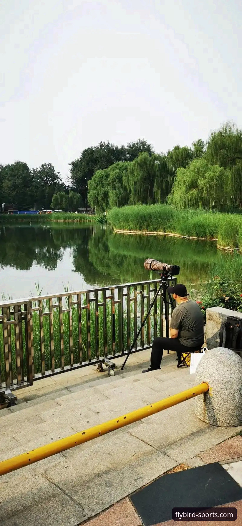 为什么小鸟体育官方平台官方下载成为2025年体育爱好者的首选？